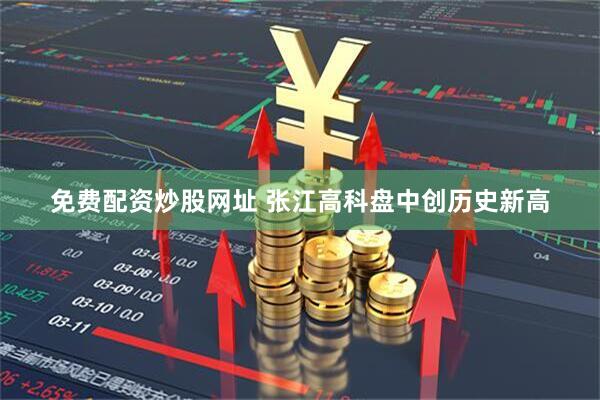免费配资炒股网址 张江高科盘中创历史新高