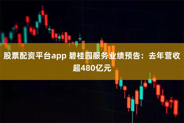 股票配资平台app 碧桂园服务业绩预告：去年营收超480亿元